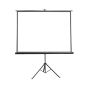 Tripod Projector Screen 150”x150”