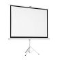 Tripod Projector Screen 180”x180”