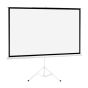 Tripod Projector Screen 200”x200”